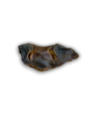 Beef snout on white background