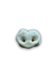 Puffed pig snout on white background