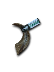 Lamb horn with Anco Naturals label on a white background