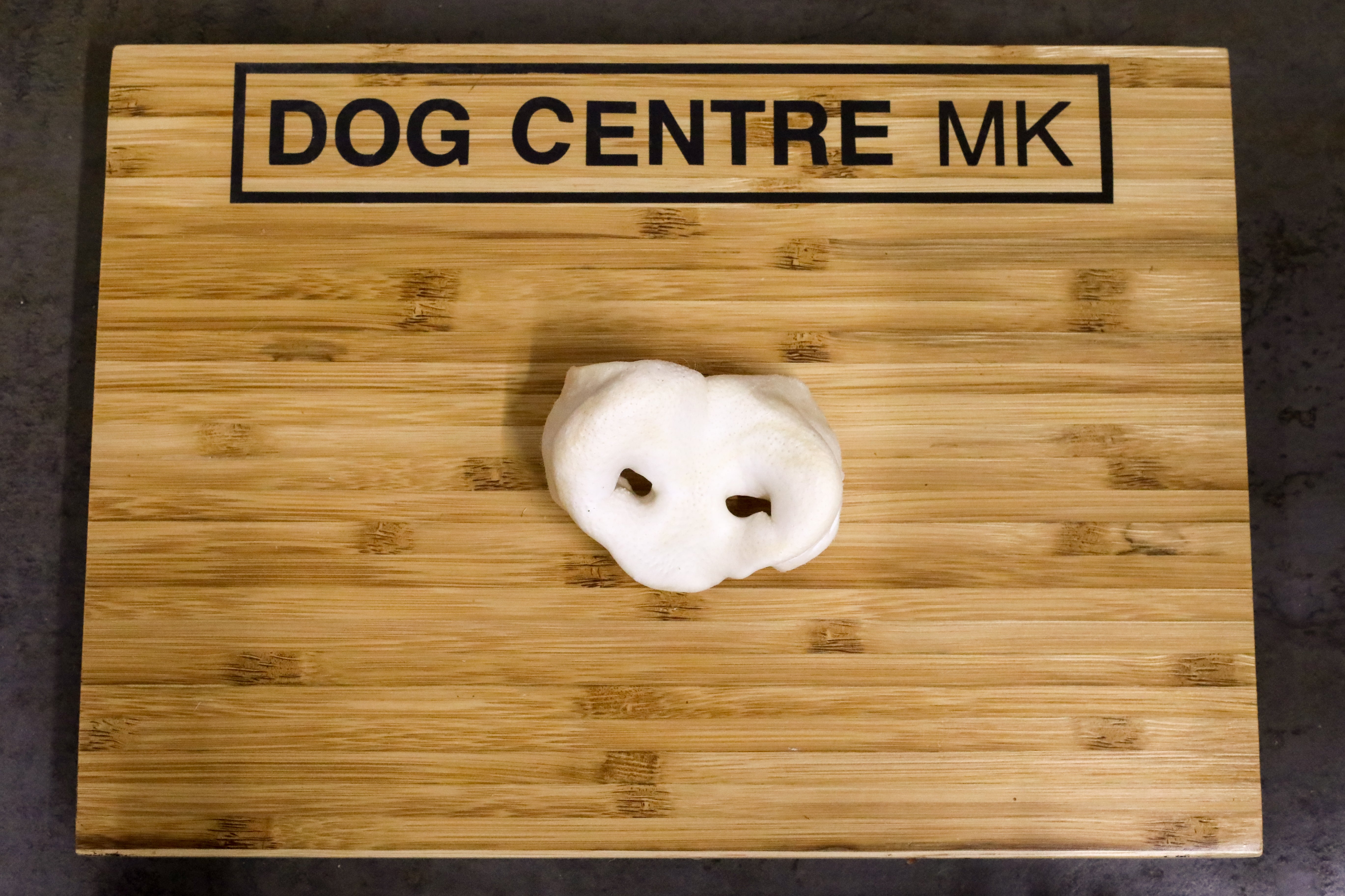 A white puffed pig snout mounted on a wooden board with 'Dog Centre MK' text on it.