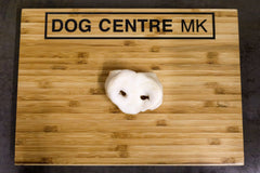 A white puffed pig snout mounted on a wooden board with 'Dog Centre MK' text on it.