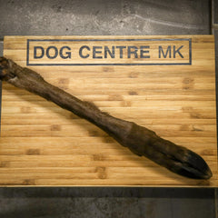 hairy deer leg with hoof