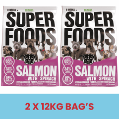 2x BIG BULLY ALL LIFE STAGES (2x 12KG SALMON)