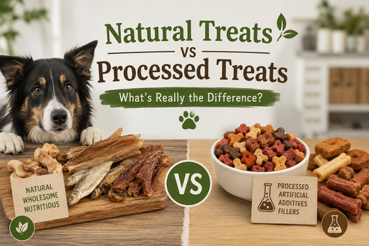 An infographic titled 'Natural Treats vs Processed Treats: What’s Really the Difference?' featuring a dog next to a side-by-side comparison of wholesome single-ingredient treats and artificial, mass-produced dog snacks.