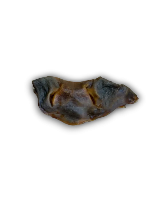 Beef snout on white background