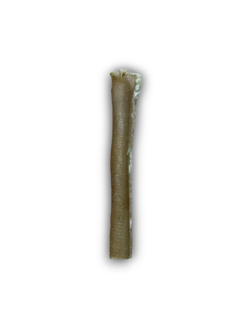 Pork rind on white background