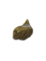 Meat filled hoof on a white background