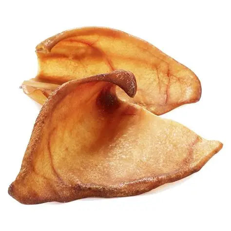 Dried pig ear dog treat on white background
