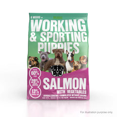 BIG BULLY WORKING & SPORTING PUPPY (8 WEEKS+, SALMON, (6KG)